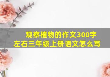 观察植物的作文300字左右三年级上册语文怎么写