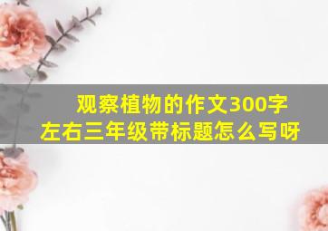 观察植物的作文300字左右三年级带标题怎么写呀