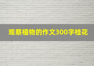 观察植物的作文300字桂花