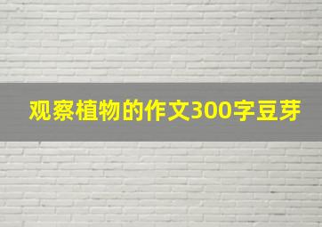 观察植物的作文300字豆芽