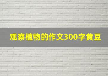 观察植物的作文300字黄豆