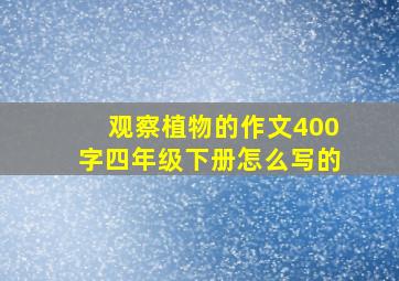 观察植物的作文400字四年级下册怎么写的