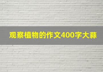 观察植物的作文400字大蒜