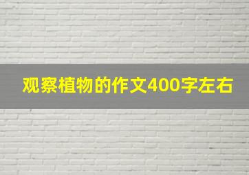 观察植物的作文400字左右