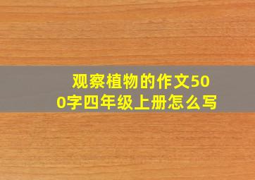 观察植物的作文500字四年级上册怎么写