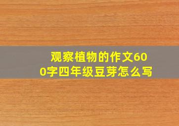 观察植物的作文600字四年级豆芽怎么写