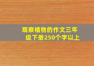 观察植物的作文三年级下册250个字以上