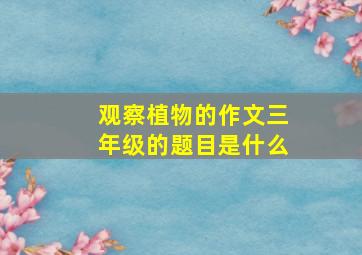 观察植物的作文三年级的题目是什么