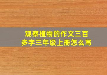 观察植物的作文三百多字三年级上册怎么写