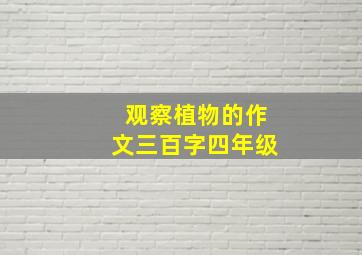 观察植物的作文三百字四年级