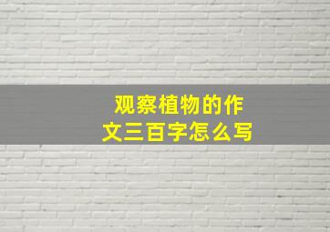 观察植物的作文三百字怎么写