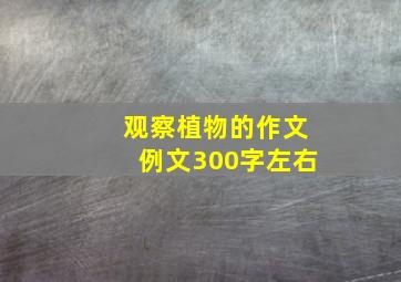 观察植物的作文例文300字左右