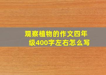 观察植物的作文四年级400字左右怎么写