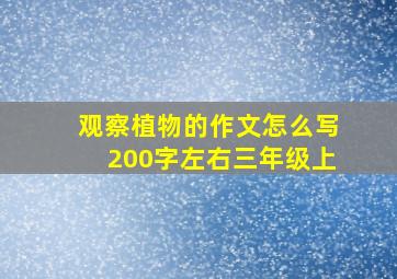 观察植物的作文怎么写200字左右三年级上