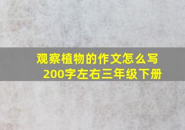 观察植物的作文怎么写200字左右三年级下册