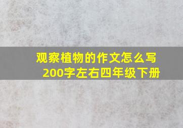 观察植物的作文怎么写200字左右四年级下册