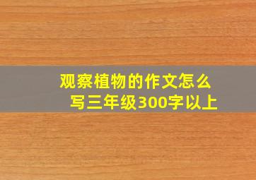 观察植物的作文怎么写三年级300字以上