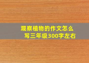 观察植物的作文怎么写三年级300字左右