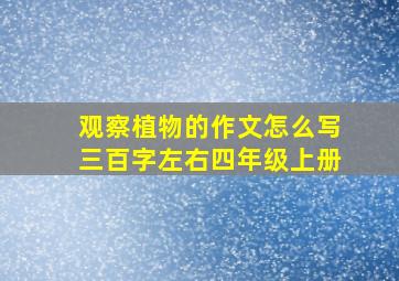 观察植物的作文怎么写三百字左右四年级上册