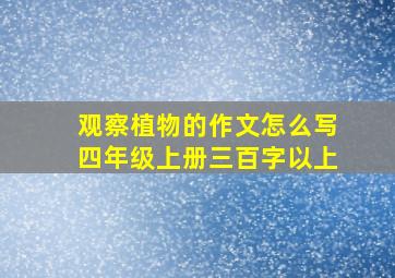 观察植物的作文怎么写四年级上册三百字以上