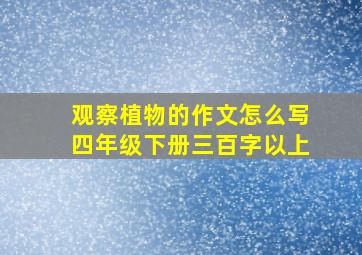 观察植物的作文怎么写四年级下册三百字以上