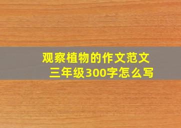 观察植物的作文范文三年级300字怎么写