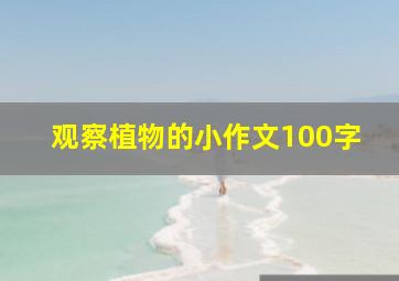 观察植物的小作文100字