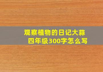 观察植物的日记大蒜四年级300字怎么写