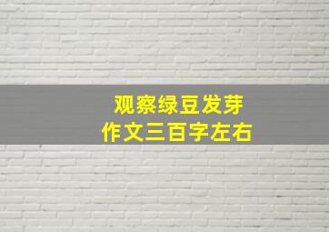 观察绿豆发芽作文三百字左右