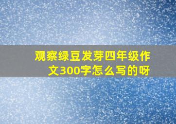 观察绿豆发芽四年级作文300字怎么写的呀