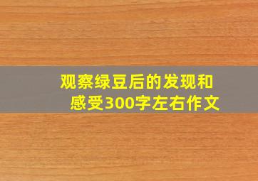 观察绿豆后的发现和感受300字左右作文