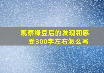 观察绿豆后的发现和感受300字左右怎么写