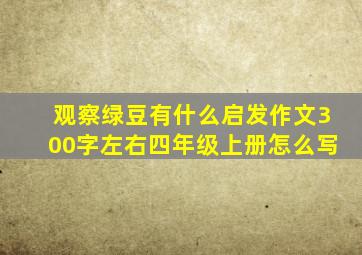 观察绿豆有什么启发作文300字左右四年级上册怎么写