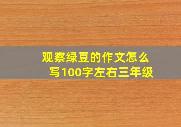 观察绿豆的作文怎么写100字左右三年级