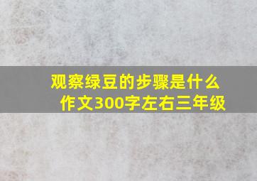 观察绿豆的步骤是什么作文300字左右三年级