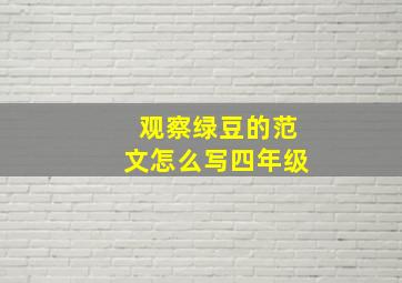 观察绿豆的范文怎么写四年级