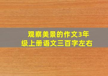 观察美景的作文3年级上册语文三百字左右