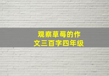 观察草莓的作文三百字四年级