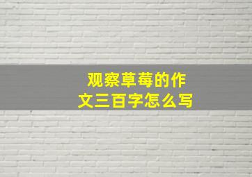 观察草莓的作文三百字怎么写