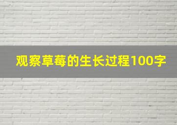 观察草莓的生长过程100字