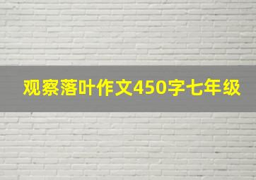 观察落叶作文450字七年级