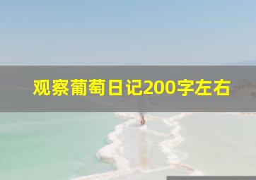 观察葡萄日记200字左右