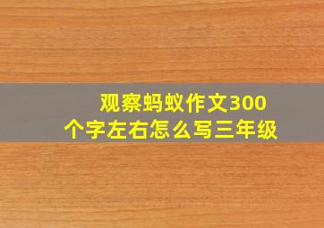 观察蚂蚁作文300个字左右怎么写三年级