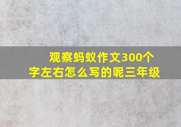 观察蚂蚁作文300个字左右怎么写的呢三年级