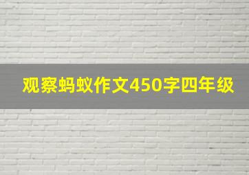 观察蚂蚁作文450字四年级