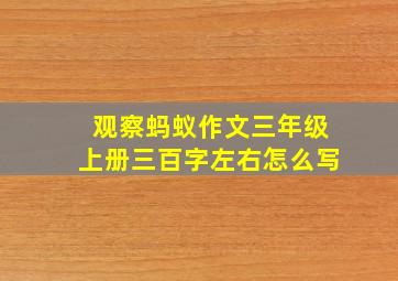 观察蚂蚁作文三年级上册三百字左右怎么写