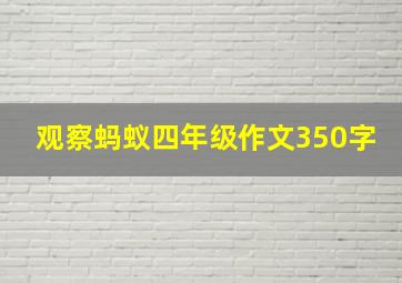 观察蚂蚁四年级作文350字