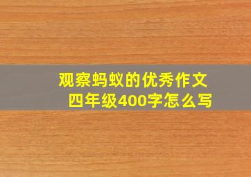 观察蚂蚁的优秀作文四年级400字怎么写