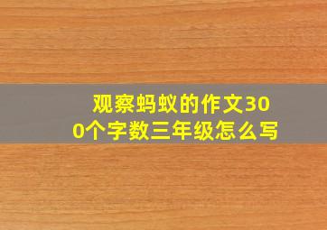 观察蚂蚁的作文300个字数三年级怎么写