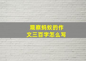 观察蚂蚁的作文三百字怎么写